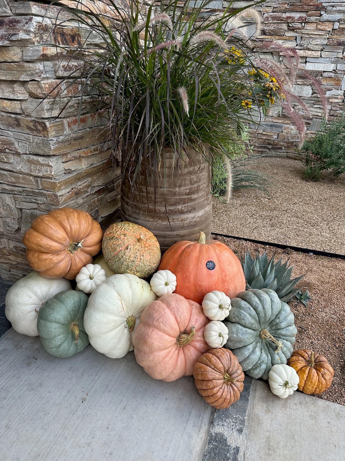 Package 3 - Hello Gourd-Geous