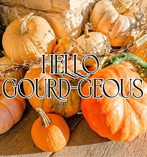 Package 3 - Hello Gourd-Geous